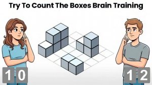 Quick Count Puzzle: Visual Recall