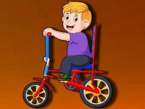 Cycle Picture Assembly Challenge