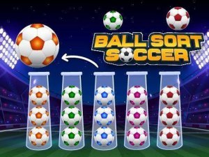 Match and Arrange Football Puzzle