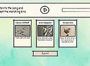 BirdLingo Online Game - Bird Song Quiz