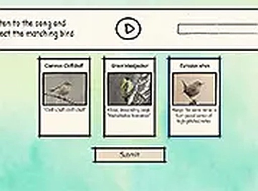 BirdLingo Bird Song Trivia