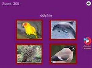 Guess The Pet: World Edition Online Quiz Game