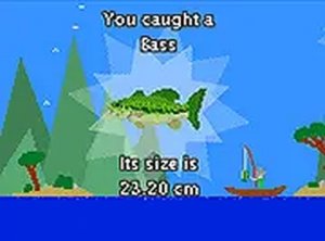 Lake Catch Quest