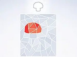 Polyshapes Puzzle Game Online - Shape Puzzle Game