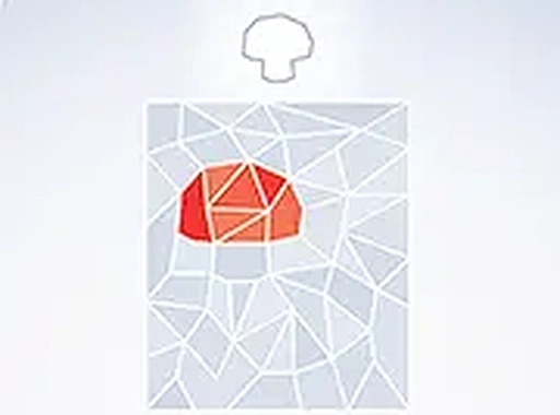 Polyshapes Shape Puzzle