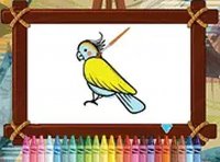 Exotic Bird Coloring Adventure