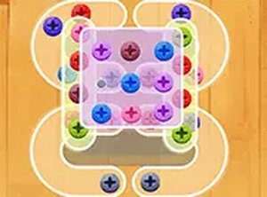 Crazy Screw King Online Puzzle Game - Color Sorting Puzzle