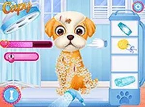 Princesses Puppy Care Online Pet Care Game