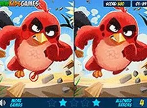 Observation Puzzle Challenge
