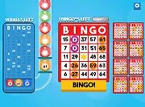 Bingo Bash Online Game - Classic Bingo Simulator Number Game